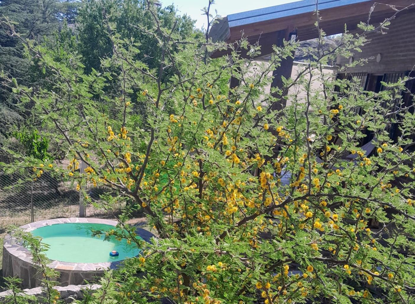 Cabanas Farah Estancia Vieja Ideal Para 2 A 3 Huespedes Villa Carlos Paz Quarto foto